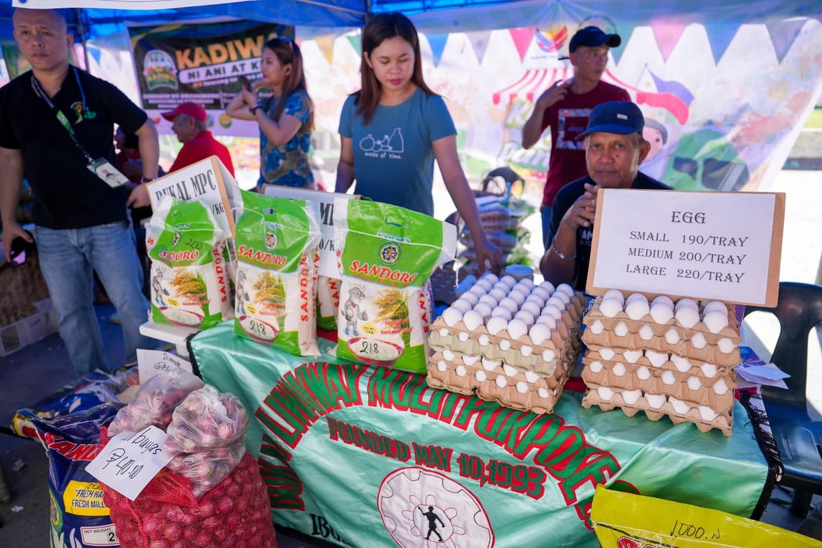 DA builds mega food hubs across PH where only farmers can sell, no traders allowed