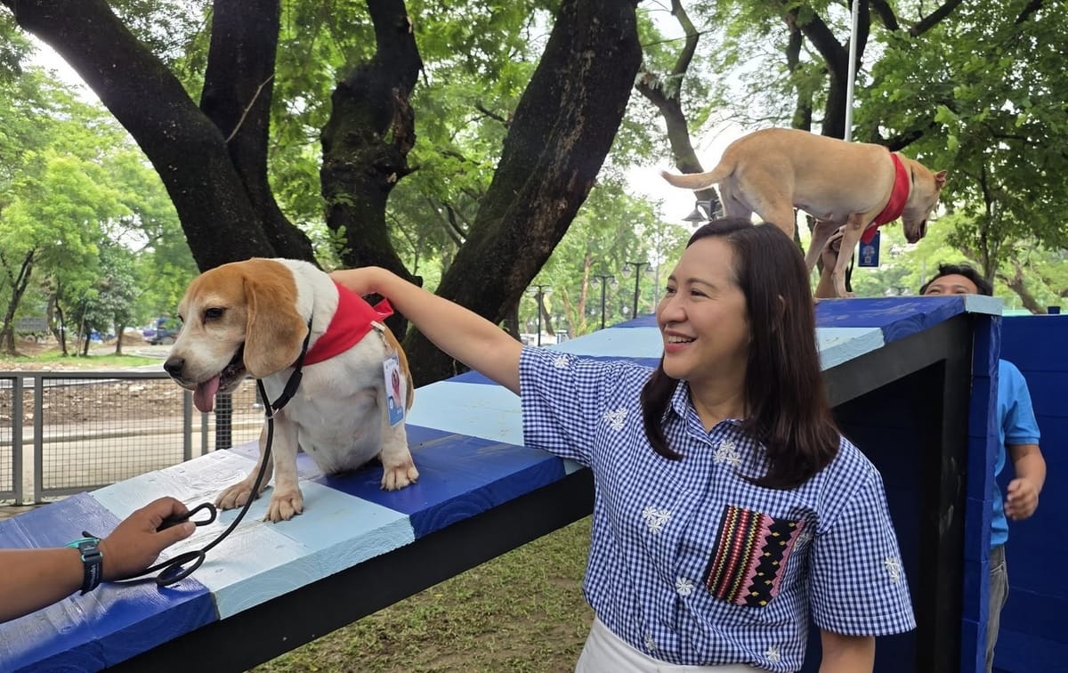 ‘Metro Manila’s green lung’: One quarter of Quezon City is green space, and city planners are now connecting all of it into one network