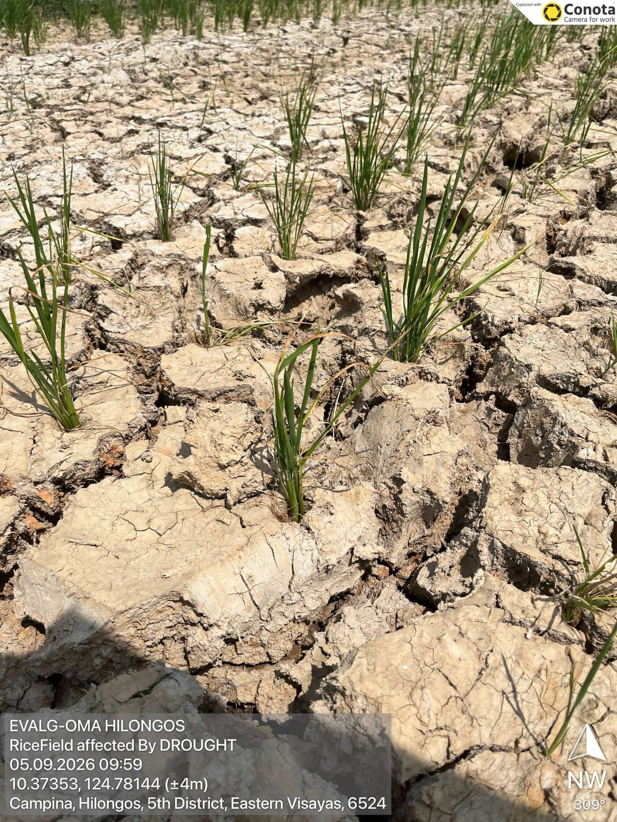 El Niño weather pattern enters record territory—scientist