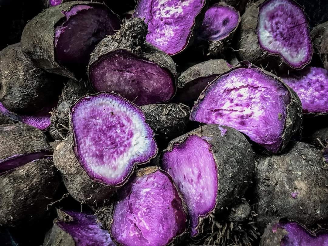 DA says ube may help manage diabetes, offers morehealth benefits