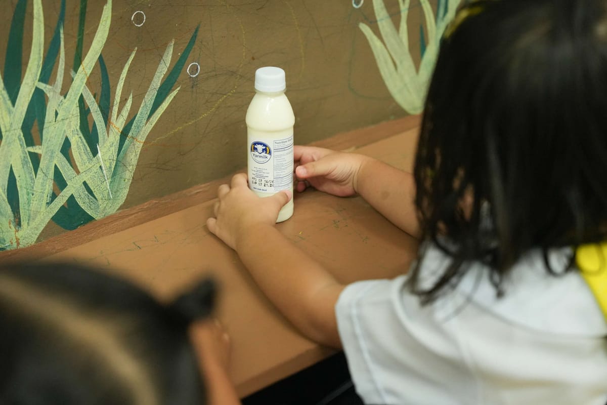 62,000 Manila schoolchildren now drink fresh milk three times a week under Isko Moreno’s ‘YorMilk’ program