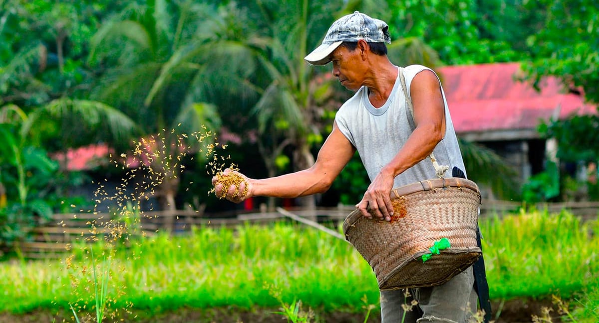 The Iran war is showing why the Philippines can’t afford to neglect its farmers