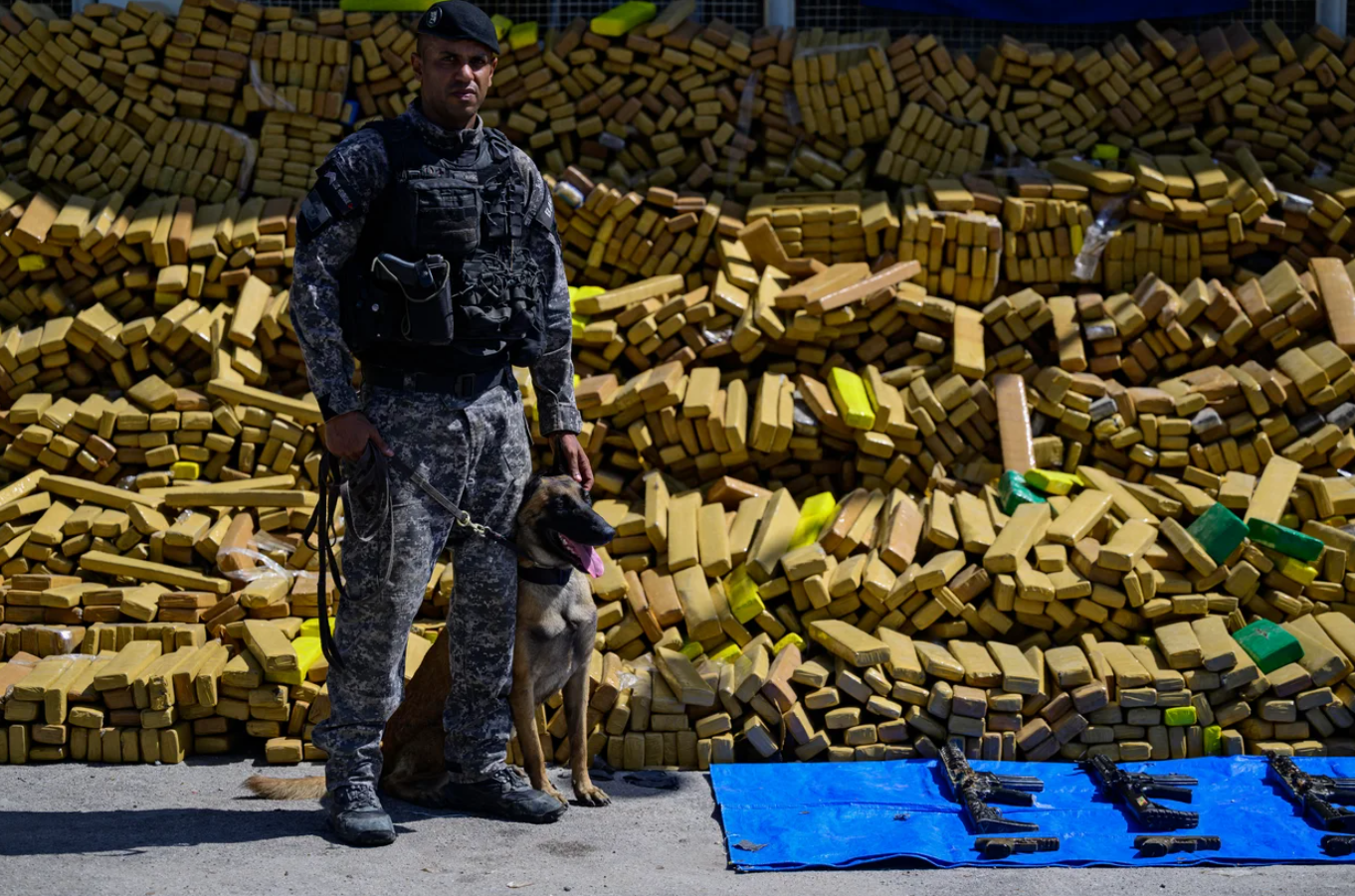 Brazilian police dog sniffs out 48 tons of marijuana in record bust