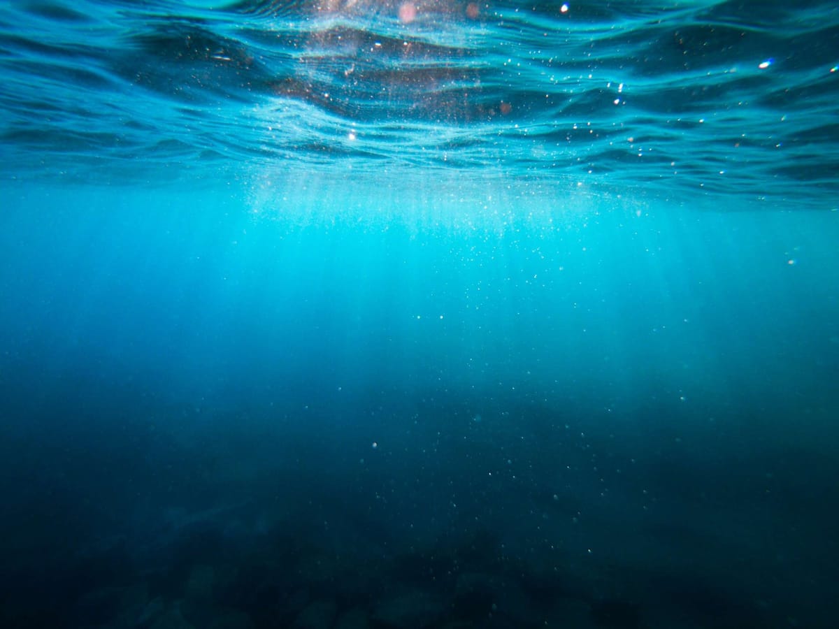 World’s oceans break June heat record: EU monitor