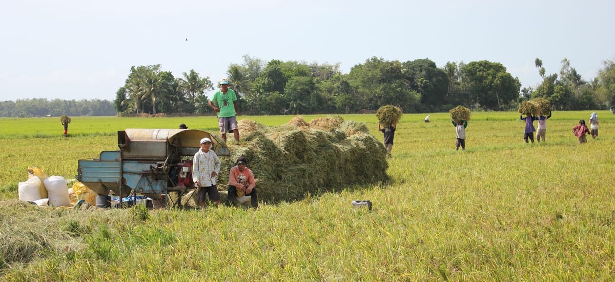 PH irrigable land potential expands to 4.2 million hectares after NIA revises slope standard