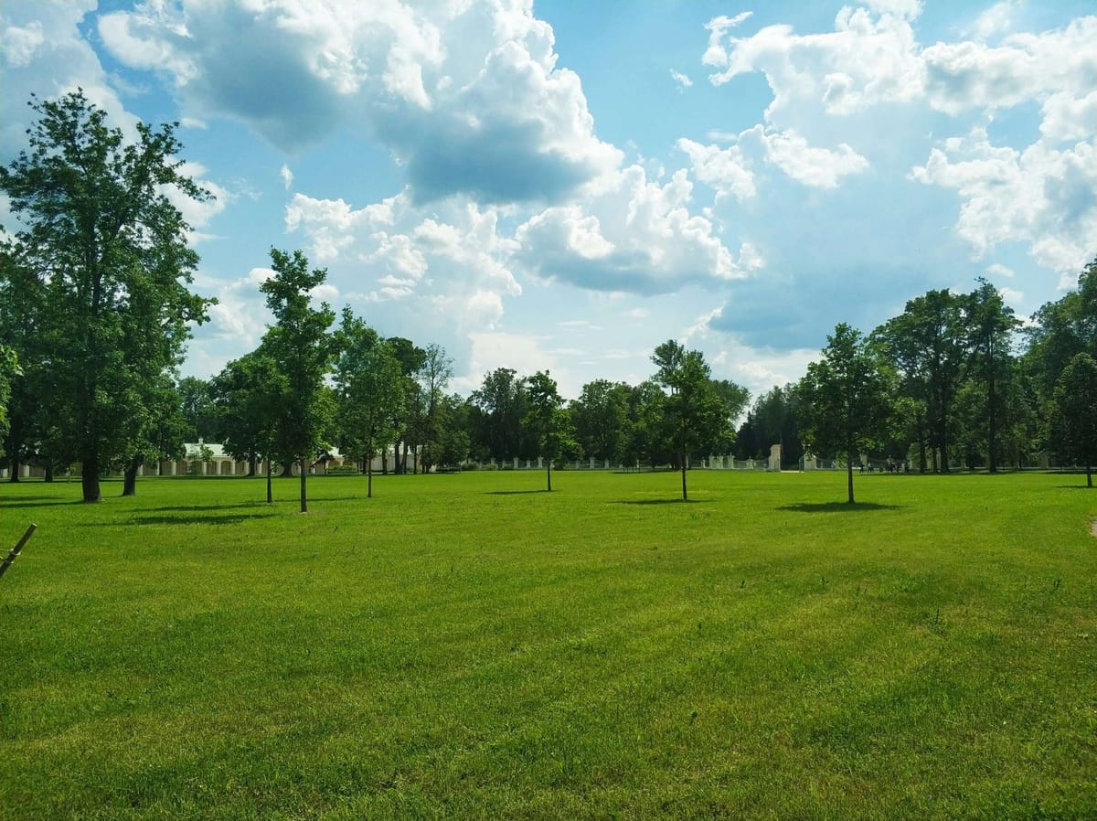 Adding green spaces not enough to solve urban heatwaves, study shows