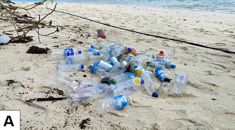 77% of PET bottles on Palawan shores came from neighboring countries — study
