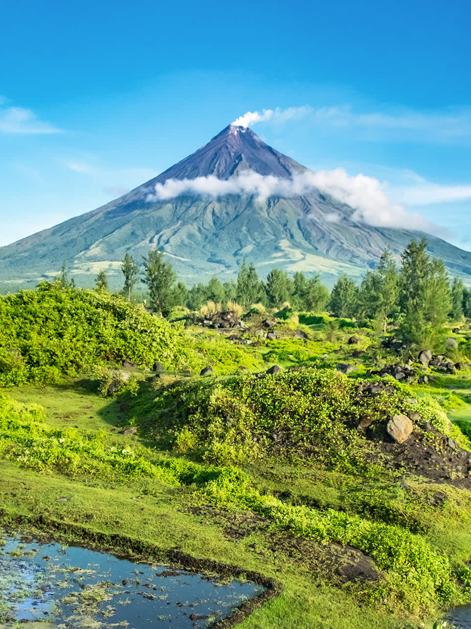 Inflation in Bicol surges to 7.6% in April 2026, Camarines Sur hardest hit at 8.9%