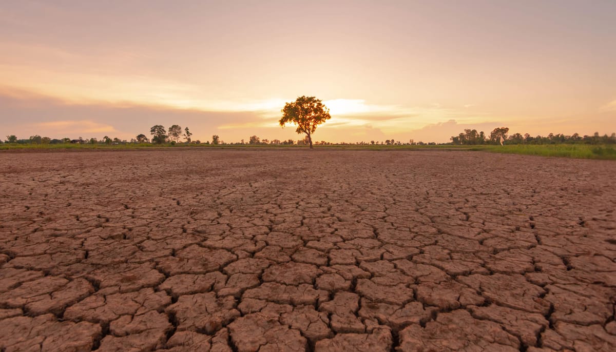 80% chance of El Niño developing in June-August, says UN