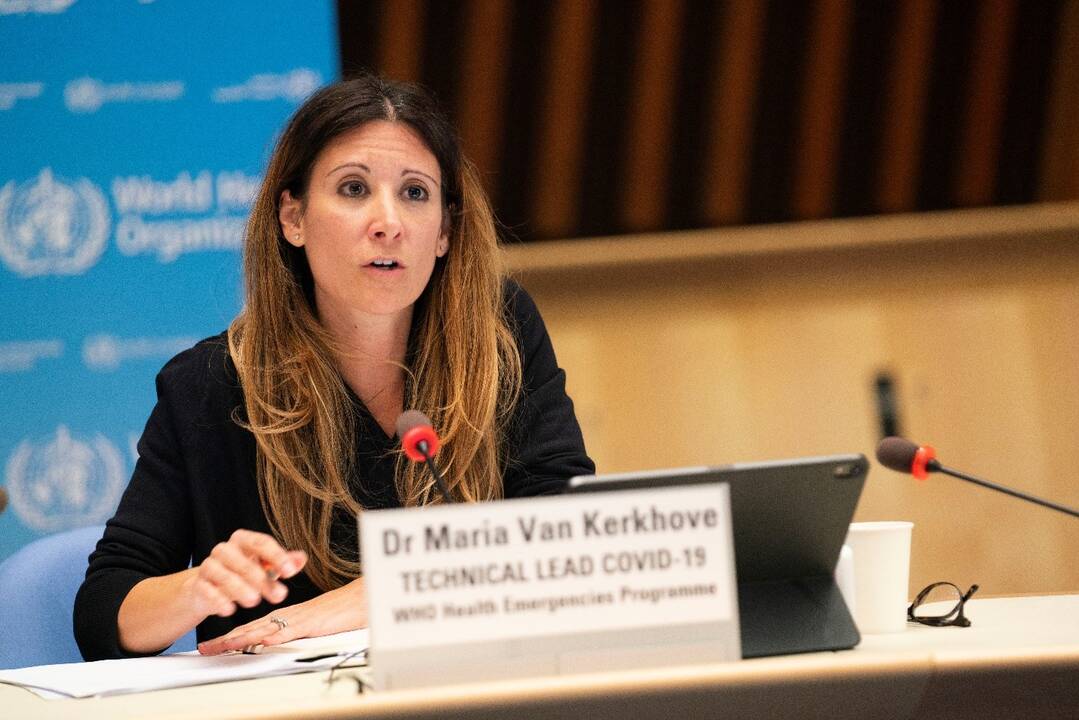 WHO on the hantavirus outbreak: ‘This is not another pandemic’