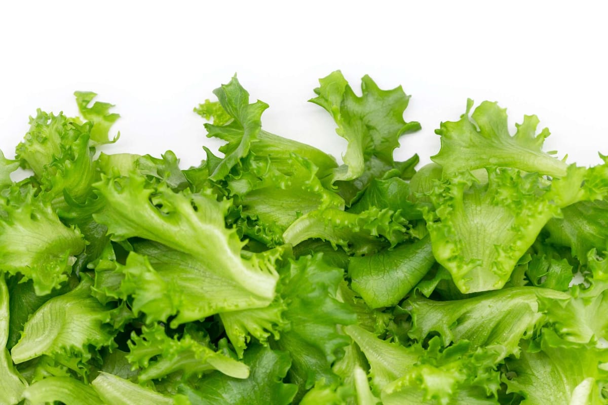 Taco Bell to stop using lettuce identified with ‘explosive diarrhea’ outbreak