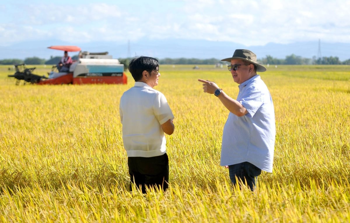 Government stops importing rice for first time as private sector now sole rice importer: DA
