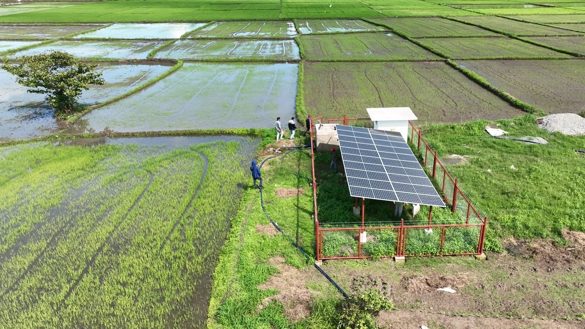 Solar pump irrigation systems reviving failed stations along major river basins, says NIA chief