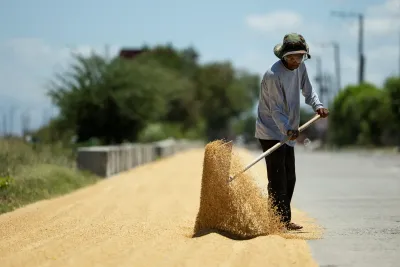 As PH locks in 1.5M MT rice import deal with Vietnam, Davao journalist warns Filipino farmers are being ‘slowly killed’