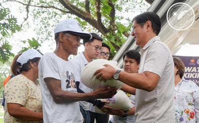 Filipino farmers get steady buyer as President Marcos sources rice program from local producers