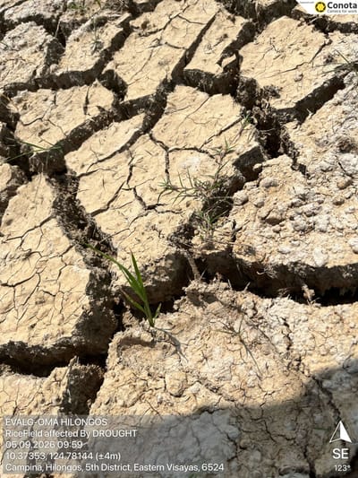 ‘Super’ El Niño could cause 451,000 excess deaths, researchers say
