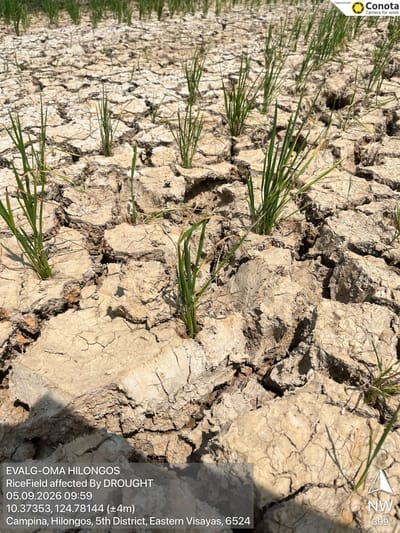 El Niño weather pattern enters record territory—scientist
