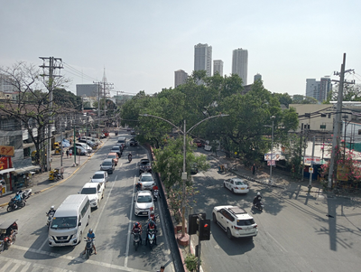 DENR moves to enforce 50,700-tree replanting obligation as SALEx proponent halts Quirino Avenue cutting