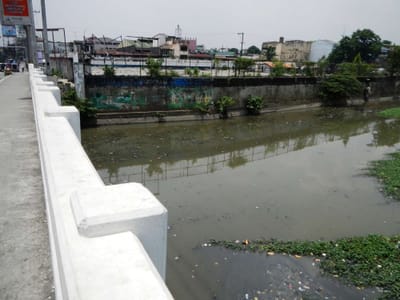 Blocked Tullahan river behind Metro Manila floods, says RSA