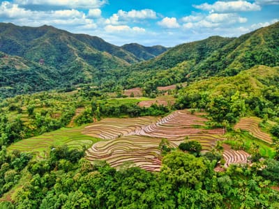 Western Visayas leads Philippine regional economies in 2025 with 6.4% growth