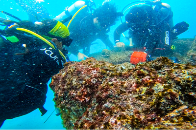 Coral records show intensifying El Niño linked to climate change — study