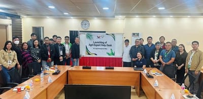 DA opens first-ever Export Office as PH mangoes now sold in Italy, France, Canada