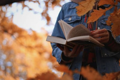 Reading physical books requires less brain energy than e-books, study shows