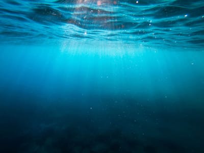 World’s oceans break June heat record: EU monitor