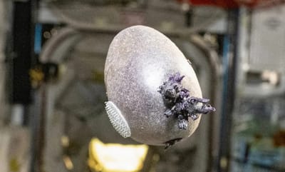 Astronaut spots something horrifying floating in space, and it’s staring back at you