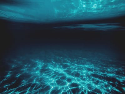 Chinese researchers discover 11,742 viruses, including “jumbo viruses” in the ocean depths