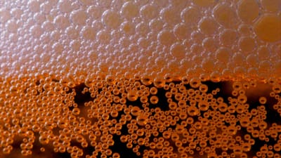 Drinking one diet soda a day increases the risk of developing type 2 diabetes by 38% — Australian study