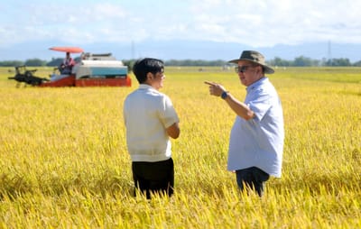 ‘Pasado, but not exceptional’: UP NCPAG dean gives Marcos a passing grade, but notes agriculture sector remains his biggest failure