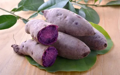 Marcos approves ₱300M budget for ube industry as DA eyes world No. 1 status