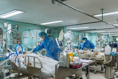 WHO on hantavirus and Ebola outbreaks: A sign of ‘dangerous and divisive times’