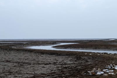 UN report declares global state of ‘water bankruptcy’