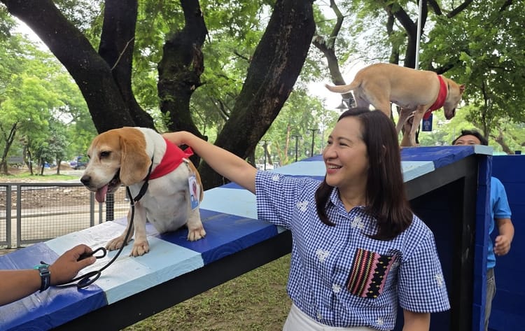 ‘Metro Manila’s green lung’: One quarter of Quezon City is green space, and city planners are now connecting all of it into one network